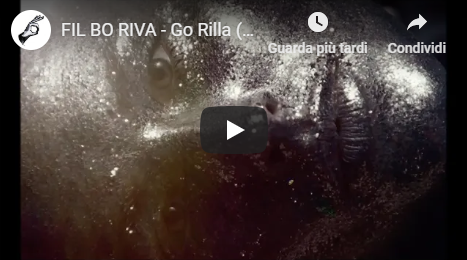 fil bo riva