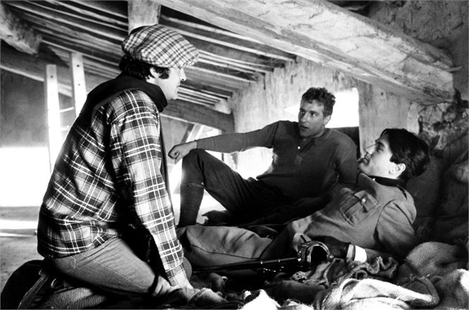 bertolucci