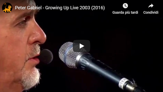 peter gabriel