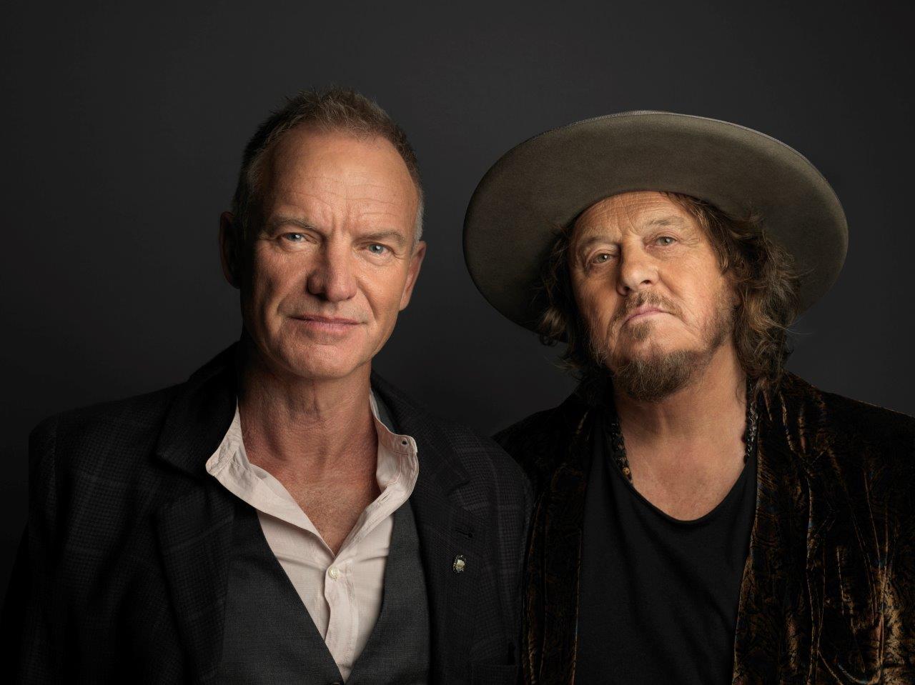 sting