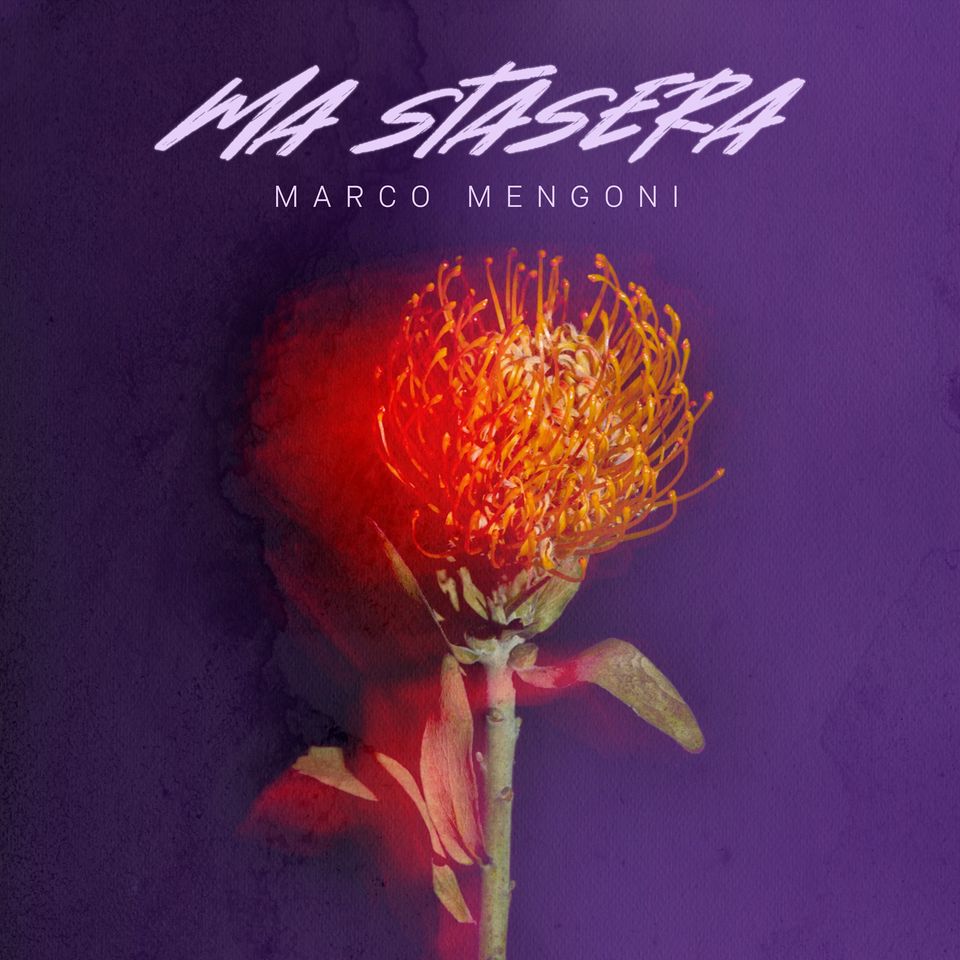 mengoni