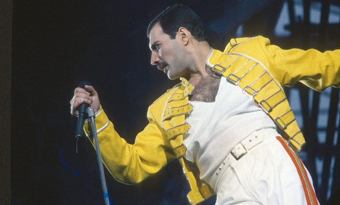 freddie