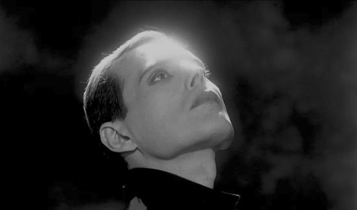 freddie