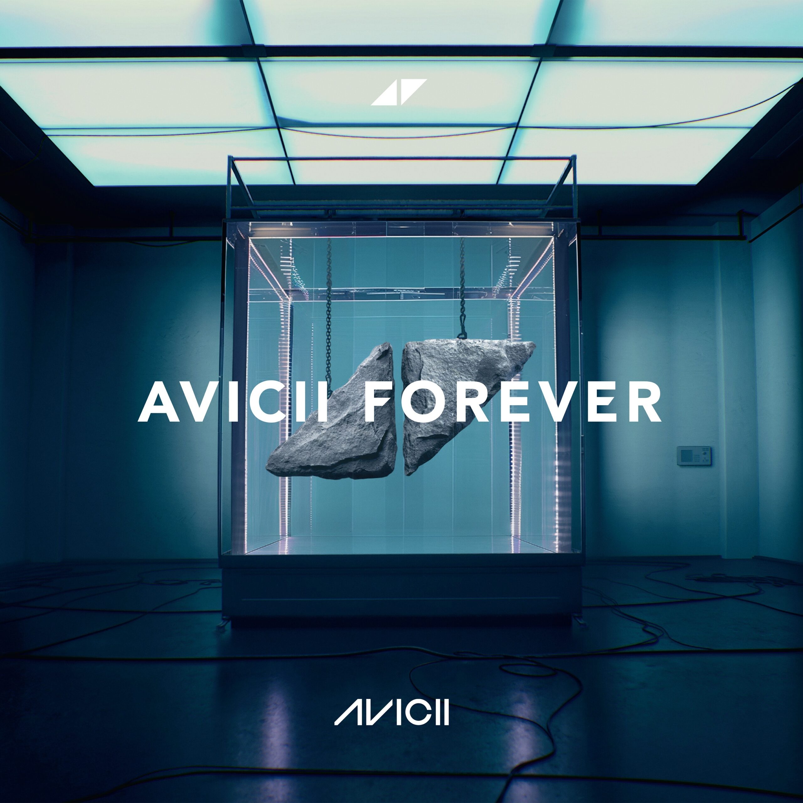 avicii
